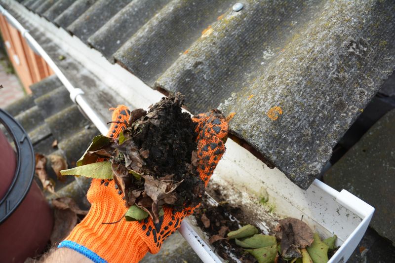 Residential Gutter Cleaning Process