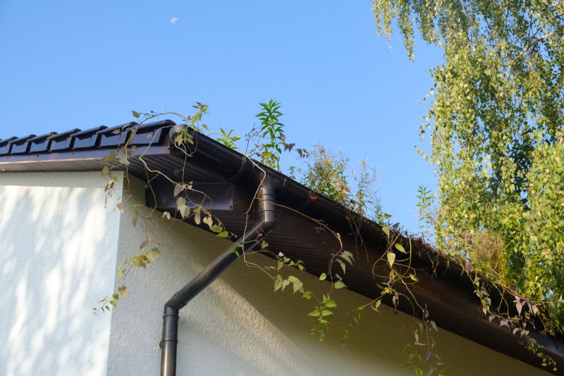 Gutter Hanging